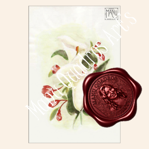 Estudo em aquarela de copos-de-leite sobre papel em composição floral.